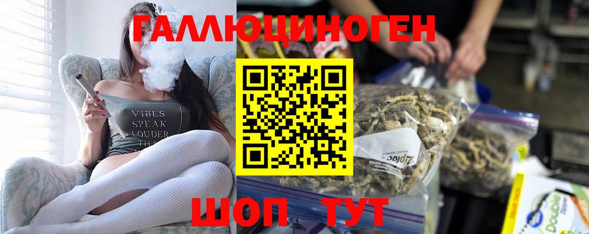 Спасск-Дальний  Галлюциногенные грибы Psilocybine cubensis  Вход с VPN 